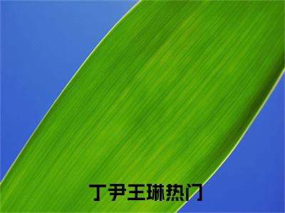 太平村·七日鬼母还魂完整章节阅读- 丁尹王琳小说全文免费