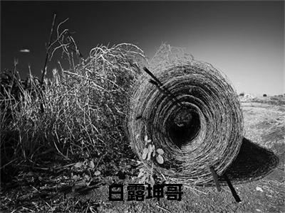  白露坤哥章节目录 大红大紫免费阅读全文