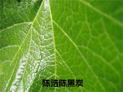  陈浩陈黑炭（打造隐世宗门：从抢夺气运之子开始）全文免费阅读无弹窗