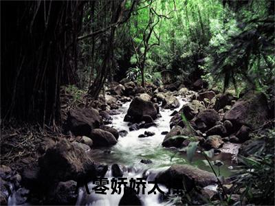 八零娇娇太撩人，军婚糙汉闭门训妻小说长篇免费小说- 苏凝雪江墨沉全章节阅读
