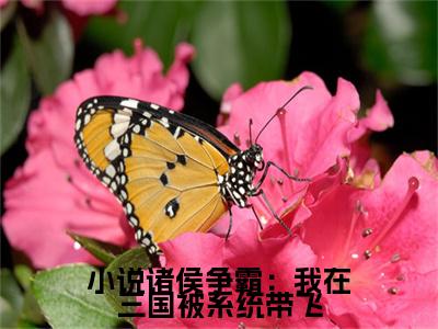 小说诸侯争霸：我在三国被系统带飞在哪免费看  杨凌杜子腾免费在线阅读