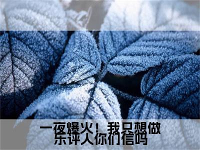  陆清王灵铠大结局-一夜爆火！我只想做乐评人你们信吗全文