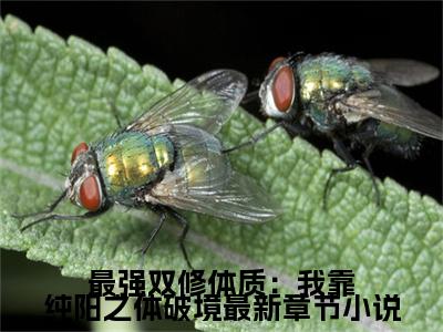 最强双修体质：我靠纯阳之体破境免费阅读  李熏染林浩小说全文