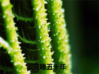 小说(沉睡五十年，醒来儿子都成大佬了？)全文免费阅读_( 许毅文温婉)小说全文免费阅读