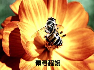 绑定系统后，我靠上班摸鱼获得奖励（ 秦寻程婉）全文免费阅读无弹窗大结局-绑定系统后，我靠上班摸鱼获得奖励免费阅读全文大结局-笔趣阁