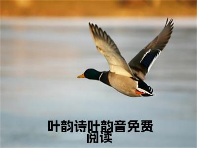  叶韵诗叶韵音（全世界最好的哥哥）免费阅读无弹窗大结局-全世界最好的哥哥完整版最新阅读