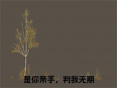 沈初凝宋时宴(是你亲手,判我无期)全文免费阅读_(是你亲手,判我无期)沈初凝宋时宴最新章节列表_笔趣阁