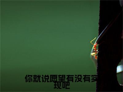 你就说愿望有没有实现吧( 白秋梧濮耀)全文免费阅读无弹窗大结局_( 白秋梧濮耀免费阅读全文大结局)最新章节列表_笔趣阁