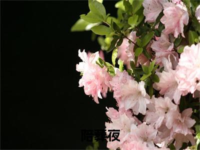 陪葬夜，我让战神王爷起死回生全文免费阅读_（ 郗阳芸颜婧灵免费阅读无弹窗）陪葬夜，我让战神王爷起死回生最新章节列表笔趣阁