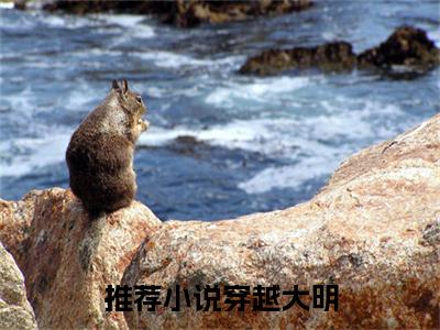 穿越大明，我靠喷人变身圣上红人新书热荐免费小说 顾晨陈宝船全文完整版- 顾晨陈宝船知乎小说