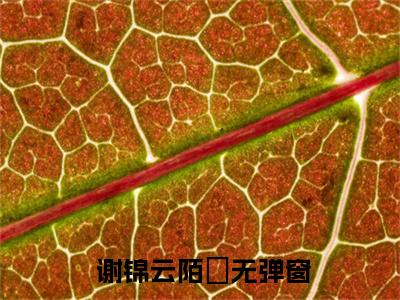 嫡母在上，逆子渣夫都跪下免费小说  谢锦云陌璟全文完整版阅读