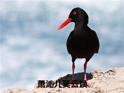 小说《萧沁儿莫云焕》全文免费阅读无弹窗-萧沁儿莫云焕小说全文在线赏析_笔趣阁
