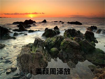 周泽放姜葭全文免费阅读大结局 姜葭周泽放小说最新章节阅读无弹窗