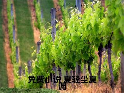 举世无双（ 夏轻尘夏渊）全文免费阅读无弹窗大结局_举世无双最新章节列表笔趣阁
