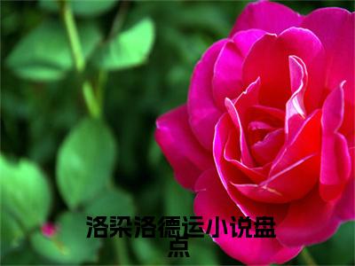  洛染洛德运全文免费阅读大结局-带球跑！冷面指挥使大人宠我没下限最新章节列表-笔趣阁