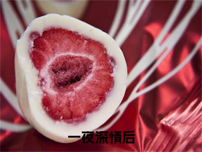 （ 贺郴州苏慕）全文免费阅读无弹窗大结局 一夜深情后，她被千亿大佬轻宠诱哄免费阅读最新章节精彩免费阅读_笔趣阁