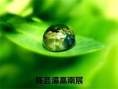 陈芸灞高南宸(高南宸陈芸灞)全文免费阅读无弹窗_ (高南宸陈芸灞)陈芸灞高南宸最新章节列表_笔趣阁(高南宸陈芸灞)