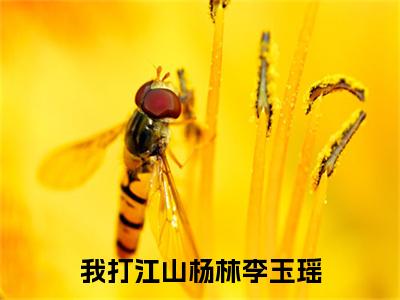 （我打江山杨林李玉瑶） 杨林李玉瑶小说小说全文免费 杨林李玉瑶读最新章节列表笔趣阁（我打江山杨林李玉瑶）