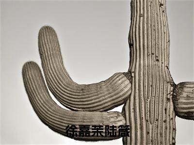 徐嘉茉陆箴(陆箴徐嘉茉)全文免费读无弹窗大结局_徐嘉茉陆箴免费阅读全文大结局最新章节列表_笔趣阁