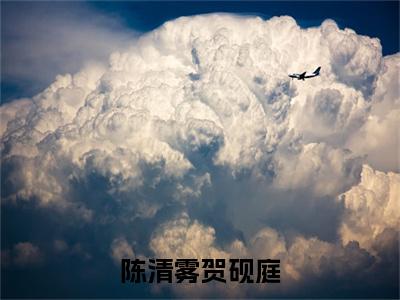 陈清雾贺砚庭大结局全文免费阅读最新章节_贺砚庭陈清雾大结局