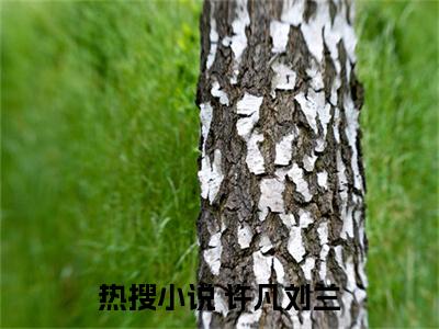  许凡刘兰全文免费阅读无弹窗大结局_（玉龙神医阅读无弹窗）玉龙神医最新章节列表_笔趣阁