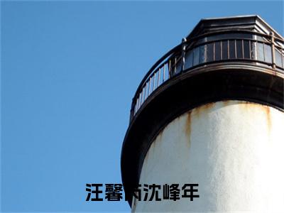 无广告小说汪馨芮沈峰年全文免费阅读无弹窗大结局-沈峰年汪馨芮川在线阅读