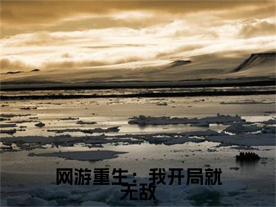 网游重生：我开局就无敌（ 张奕老李)全文免费阅读无弹窗大结局_网游重生：我开局就无敌最新章节列表_笔趣阁