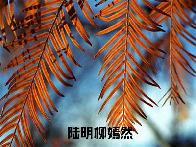 为了减刑，开局上交可控核聚变（ 陆明柳嫣然）全文免费阅读无弹窗- 陆明柳嫣然小说完整版在线阅读