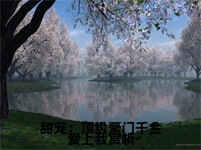 甜宠：顶级豪门千金爱上我小说热门榜单免费阅读， 林风程岁抖音新上热文分享_笔趣阁（甜宠：顶级豪门千金爱上我）