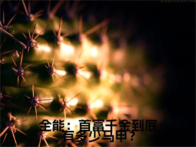 主角是 白可欣张怡的小说叫什么名字 全能：首富千金到底有多少马甲？精彩结局阅读