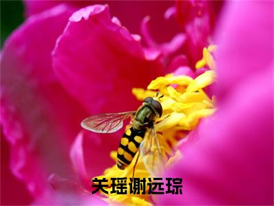 谢远琮关瑶（关瑶谢远琮）全文免费阅读无弹窗大结局_（谢远琮关瑶）关瑶谢远琮最新章节列表_笔趣阁（谢远琮关瑶）