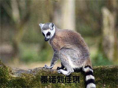 (投资惊悚世界，我成了世界巨擎) 秦诺刘佳琪全文免费阅读无弹窗完整版_（ 秦诺刘佳琪小说全文免费阅读） 秦诺刘佳琪最新章节列表笔趣阁(投资惊悚世界，我成了世界巨擎)