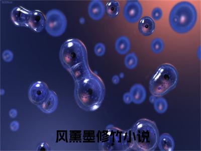  风薰墨修竹为改悲惨命运，我争权势，夺江山风薰墨修竹小说全文免费阅读_为改悲惨命运，我争权势，夺江山风薰墨修竹（ 风薰墨修竹）最新章节列表笔趣阁