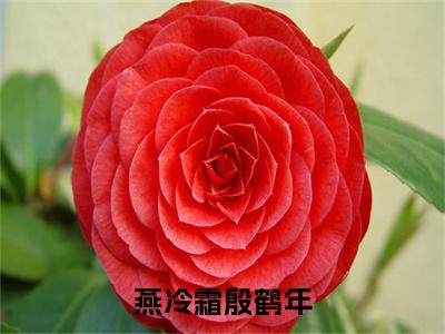 燕冷霜殷鹤年小说全文(燕冷霜殷鹤年)免费阅读全文无弹窗大结局_ 燕冷霜殷鹤年免费阅读无弹窗小说_笔趣阁