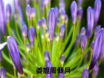 趁校花家里穷，忽悠她当女朋友全文最新章节（ 姜旭周倾月）全文免费阅读无弹窗大结局_ 姜旭周倾月免费阅读（趁校花家里穷，忽悠她当女朋友全文）