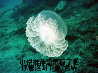 盗墓疯了吧你管这叫下墓?合集小说（ 叶承李导全文完整版免费阅读）_盗墓疯了吧你管这叫下墓?合集小说免费最新章节列表_笔趣阁