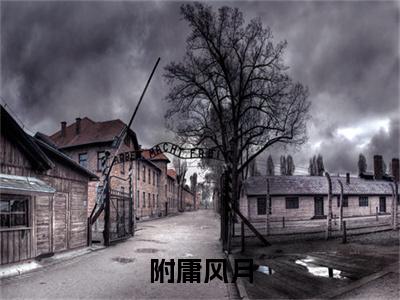 抖音高赞小说附庸风月在线阅读 夏绯向钧2023新上现代言情小说推荐
