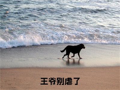 王爷别虐了，花魁她已有夫君了畅销小说推荐小说全文免费阅读 （ 宜宁琉璃）免费阅读全文免费阅读无弹窗大结局