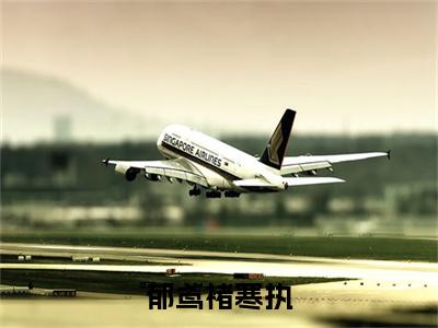 郁鸢褚寒执全本资源免费阅读结局无删节主角：郁鸢褚寒执小说全文阅读无弹窗