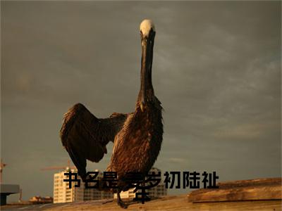 甜宠救赎：竹马的爱慕心藏不住了免费小说  姜岁初陆祉年全文完整版阅读