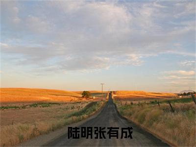 我，未来国士，你让我进监狱？小说最新章节阅读-小说我，未来国士，你让我进监狱？（ 陆明张有成）已完结小说精彩大结局
