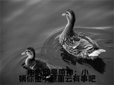 原神：小姨你也不想重云有事吧( 申鹤邱昊)全文免费阅读无弹窗大结局_原神：小姨你也不想重云有事吧免费阅读无弹窗最新章节列表_笔趣阁( 申鹤邱昊)
