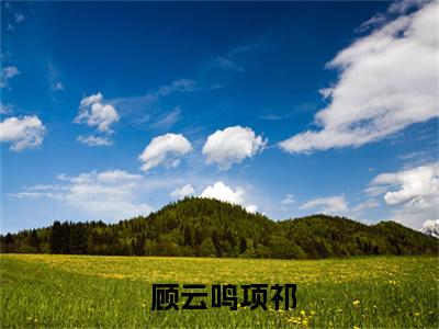  顾云鸣项祁的小说（假千金只想搞钱顾云鸣项祁更新篇试读）免费阅读_ 顾云鸣项祁小说免费阅读-笔趣阁（假千金只想搞钱顾云鸣项祁更新篇试读）