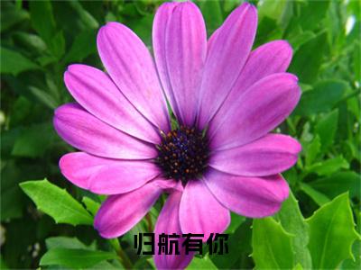梁锦宜徐端(归航有你)全文免费阅读无弹窗大结局_梁锦宜徐端(归航有你小说免费阅读)_笔趣阁