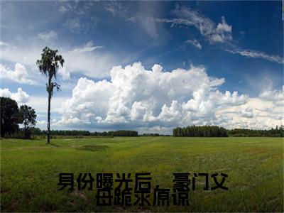 身份曝光后,豪门父母跪求原谅全文免费阅读无弹窗(小说全文免费阅读)沈玥程隋最新章节列表_笔趣阁