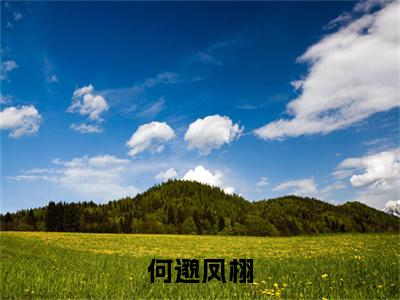 何邈凤栩全文免费阅读大结局-（凤栩何邈）最新章节列表在线阅读