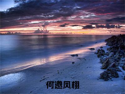 何邈凤栩（凤栩何邈）多人推荐阅读-精选小说（凤栩何邈）完整版免费阅读