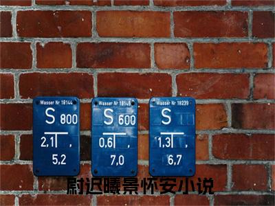  尉迟曦景怀安（穿书女配被反派一家团宠了）全文免费阅读_穿书女配被反派一家团宠了全文阅读_笔趣阁