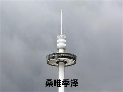 桑唯季泽(季泽桑唯)全文免费阅读无弹窗大结局_桑唯季泽最新章节列表_笔趣阁