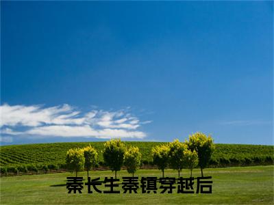 穿越后，我把仙界美女都谈了个遍( 秦长生秦镇)小说全文小说免费阅读_穿越后，我把仙界美女都谈了个遍最新章节列表笔趣阁（ 秦长生秦镇）